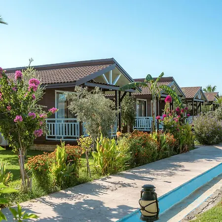 Sedir Park - Bed and Breakfast Kargicak (Alanya)