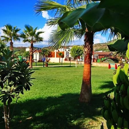 Sedir Park - Bed and Breakfast Kargicak (Alanya)