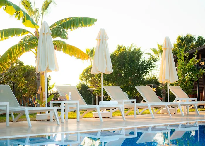 Sedir Park - ベッド・アンド・ブレックファスト