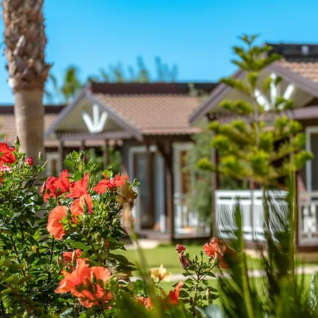 Sedir Park - Bed & Breakfast *