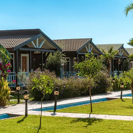 Sedir Park -