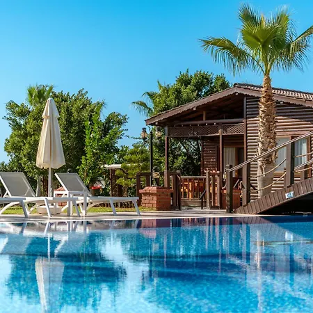 B&B Sedir Park -
