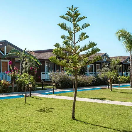 Sedir Park -