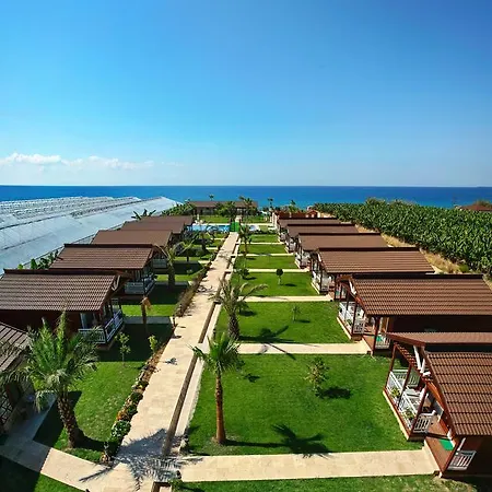 Sedir Park - לינה וארוחת בוקר קרגיג'ק