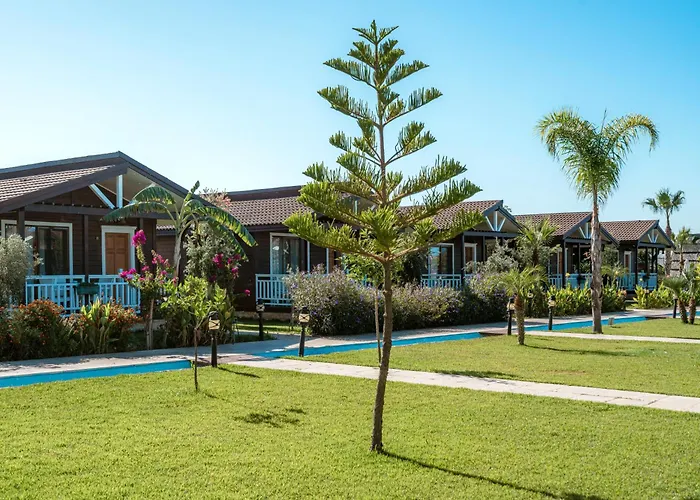 Sedir Park -